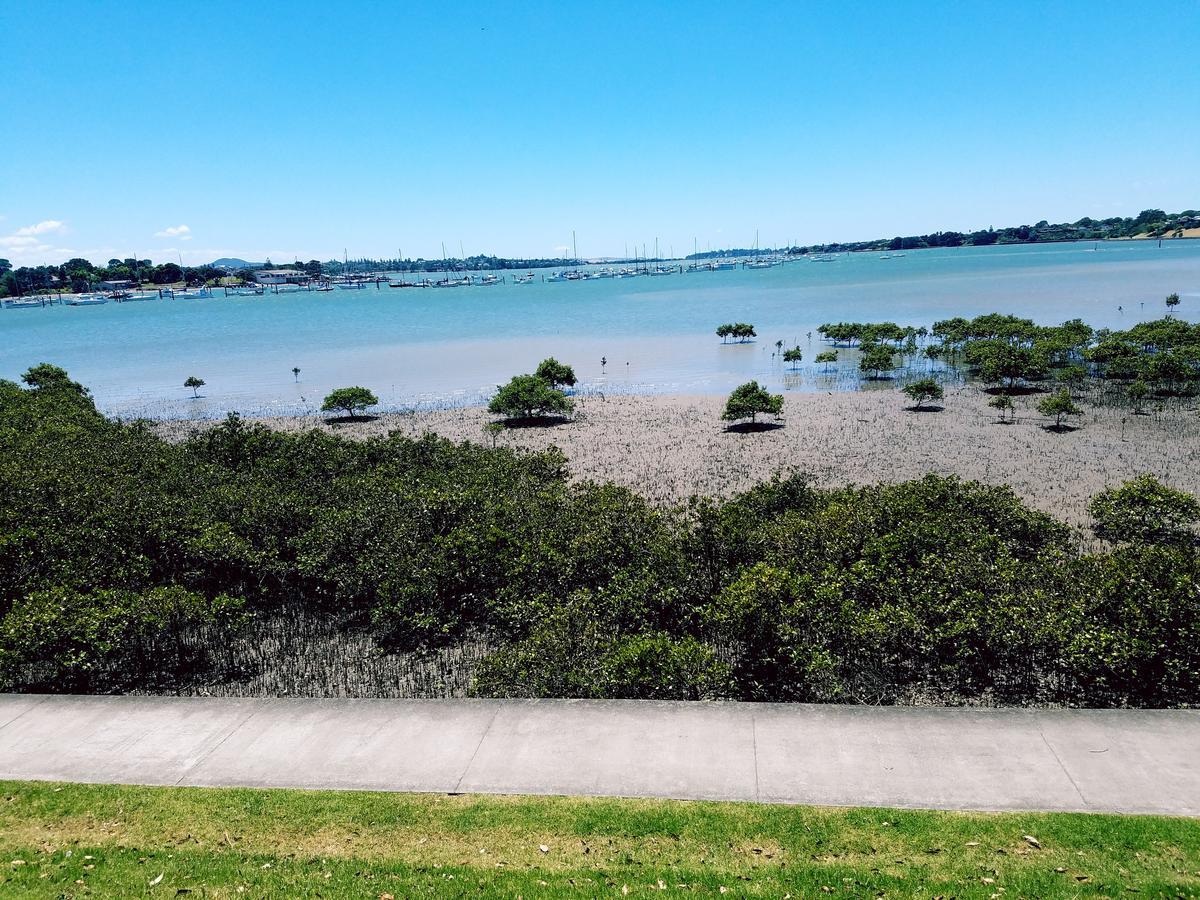 New Smart Home Nearby Plaza Auckland Extérieur photo